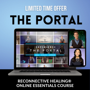 The Portal limited time offer